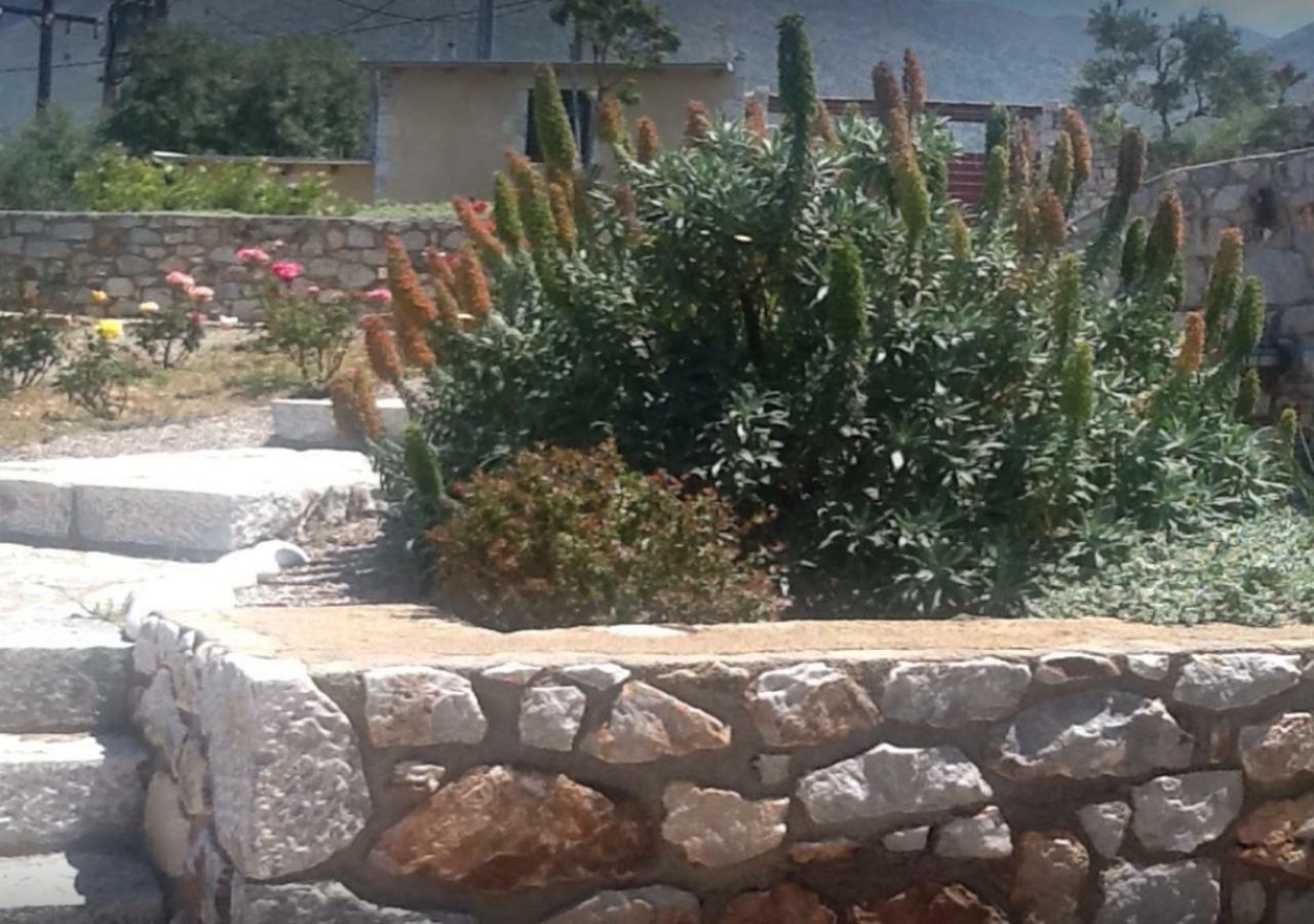 Focalion Castle Luxury Suites Pyrgos Dirou Экстерьер фото